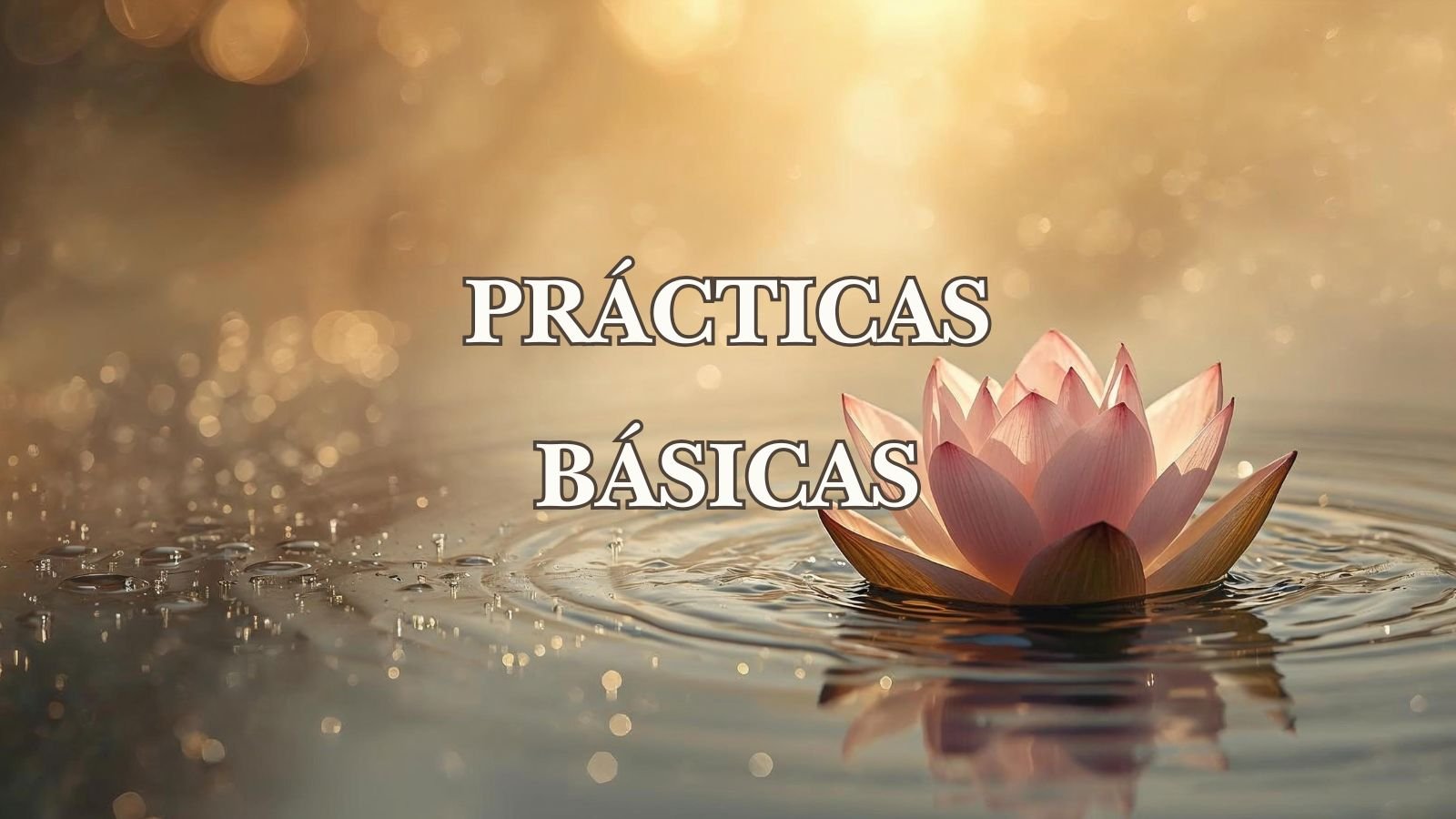 practicas